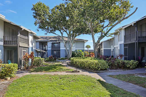 A tree in the middle of a grassy area in front of apartment buildings.