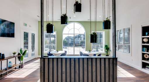 A reception area with a striped counter and hanging plants.