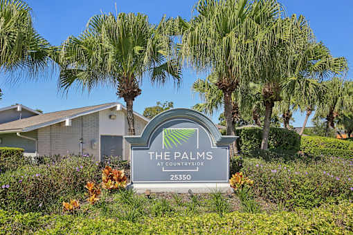 A sign for The Palms at Countryside with a house and palm trees in the background.