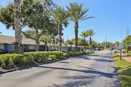 A street lined with palm trees and residential houses.