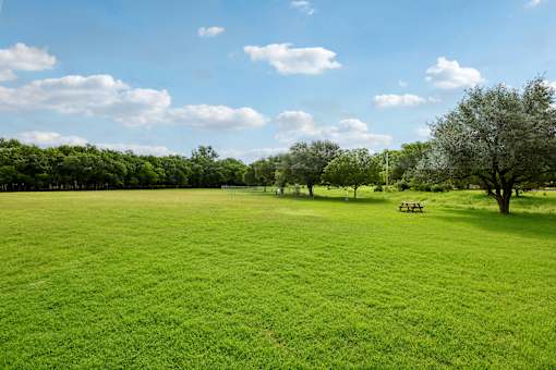 A grassy field with trees and a bench in the distance under a blue sky with clouds.
