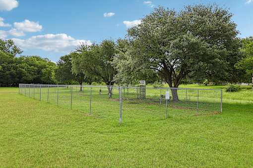 A green field with trees and a fence.
