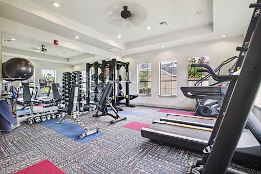 A gym with a variety of equipment including treadmills, weights, and exercise balls.