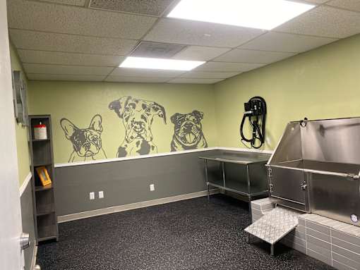 A room with a mural of dogs on the wall and a stainless steel sink.