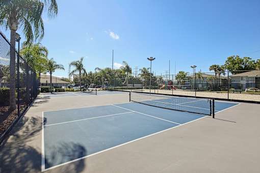 A tennis court surrounded by a fence and palm trees.