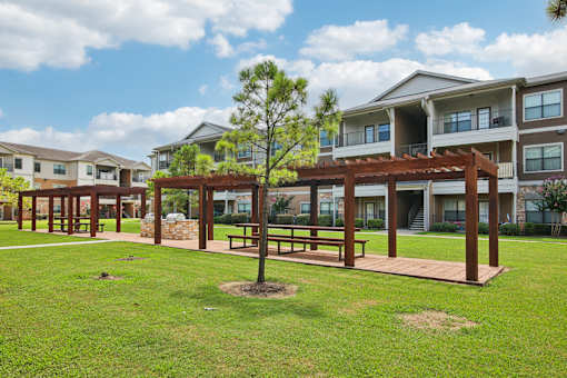 A tree stands in a grassy area in front of apartment buildings.