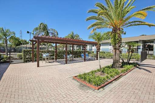 A palm tree is in the foreground of a sunny courtyard.