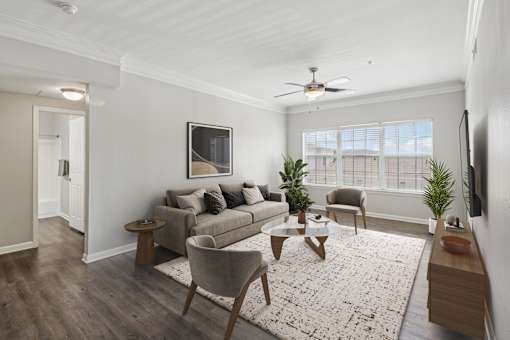 A living room with a grey couch, a coffee table, and a television.