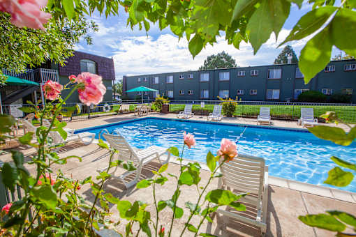 A pool surrounded by chairs and flowers with a building in the background.