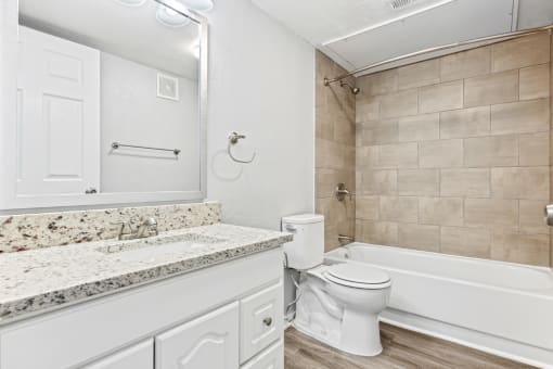 a bathroom with a toilet and a tub and a sink