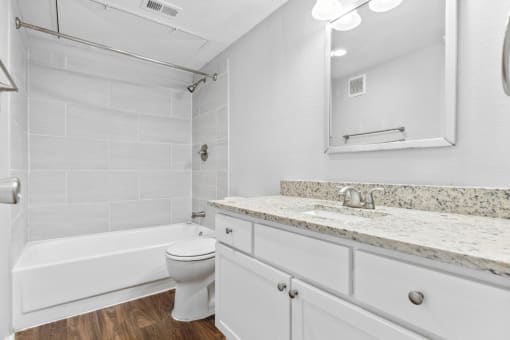 a bathroom with a sink and a toilet and a tub