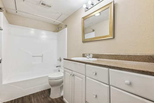 a bathroom with a toilet and a sink and a mirror