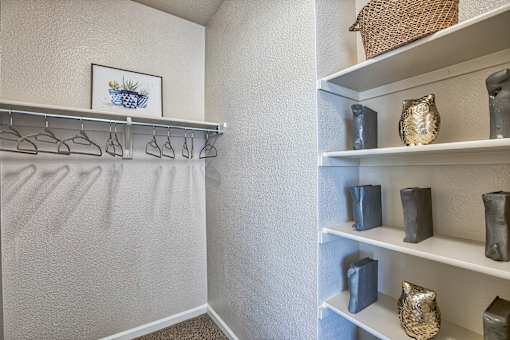 A white closet with a shelf and a picture of a plant.