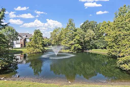 a fountain in the middle of a pond