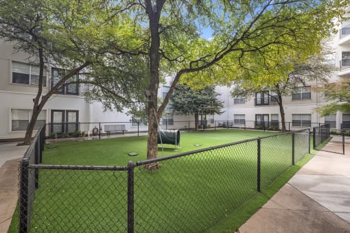Apartments in East Dallas for rent 