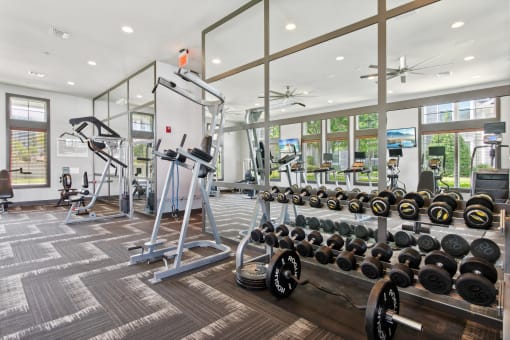 gainseville florida 1 2 3 bedroom apartments for rent