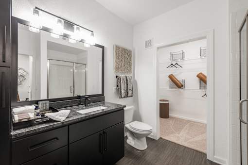 Bathroom with single vanity, large mirror, and adjacent walk-in closet entry.