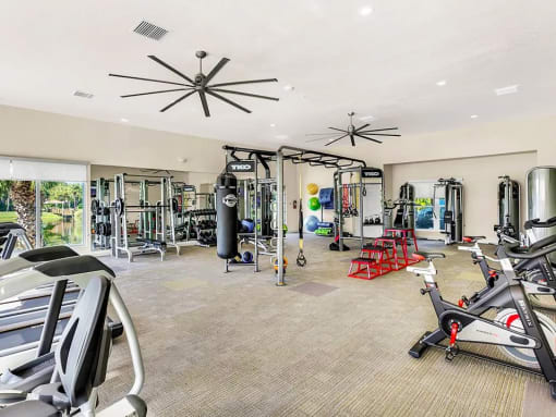 the apartments at masse corner 205 fitness room