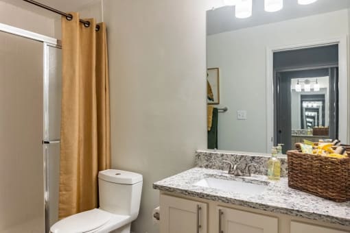 a bathroom with a toilet sink mirror and shower