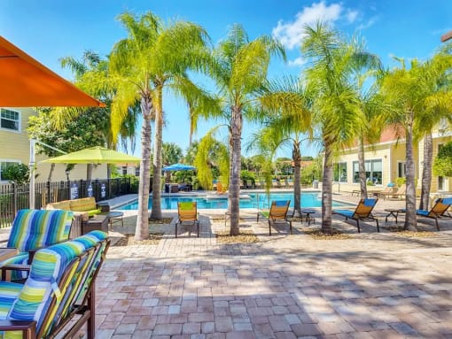 a swimming pool with chaise lounge chairs and palm trees