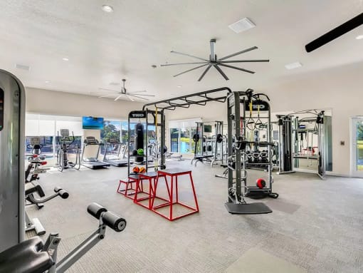 the apartments at los carneros apartment for rent in tucson, az