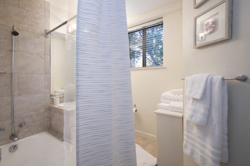 a bathroom with a shower and a toilet next to a sink