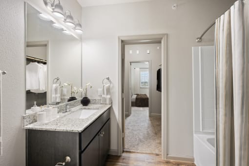 a bathroom with a sink and a mirror