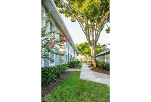 clearwater fl apartments