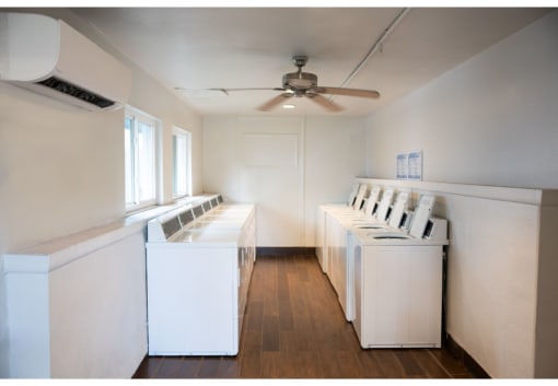 clearwater fl apartments