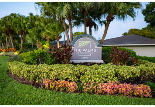 clearwater fl apartments