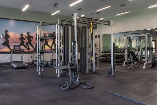 a fully equipped fitness room with free weights and cardio equipment