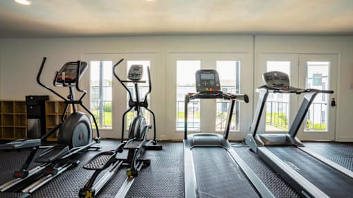 A row of treadmills and elliptical machines in a gym.