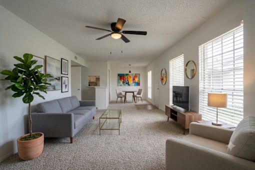 A living room and dining room with a grey couch, a coffee table, a television, and a potted plant and dining table with chairs.
