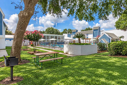 A tree with a mailbox stands in a grassy area with a picnic table and a pool in the background.