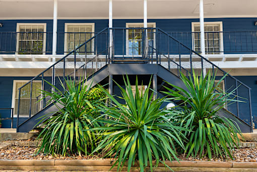A blue house with a staircase and plants in front.
