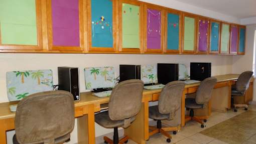 A row of computers are on a desk with a palm tree wallpaper.