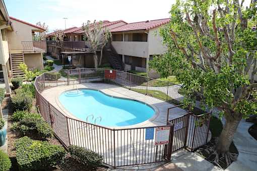 A pool surrounded by a fence and a tree.