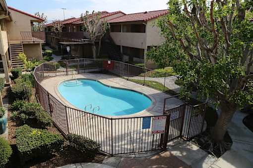 A pool surrounded by a fence and trees.