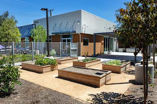 A garden with raised beds in front of a building.