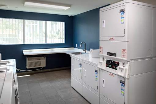 A row of white washing machines in a laundry room.
