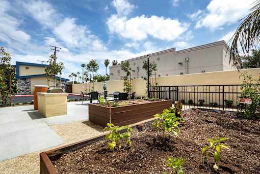 A park with a bench and a fence.
