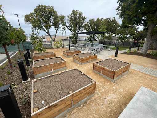 A garden with raised beds and a gazebo in the background.