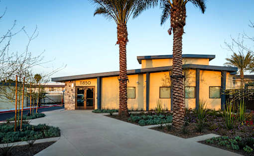 A building with the number 11850 on it is surrounded by palm trees.