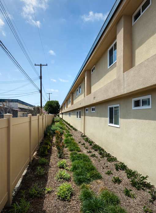 A row of houses with a fence and green plants in front.
