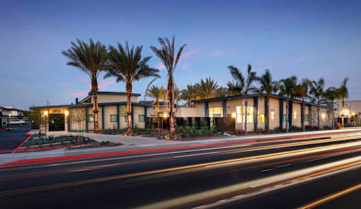 A long exposure shot of a street with palm trees and a building with lights on.