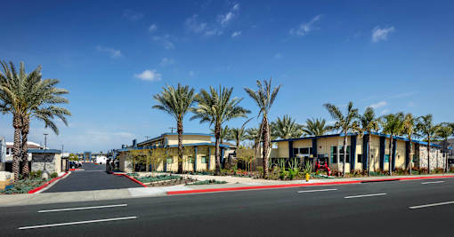 A street with palm trees on both sides and a building in the background.