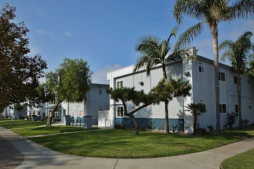 A white building with a palm tree in front.