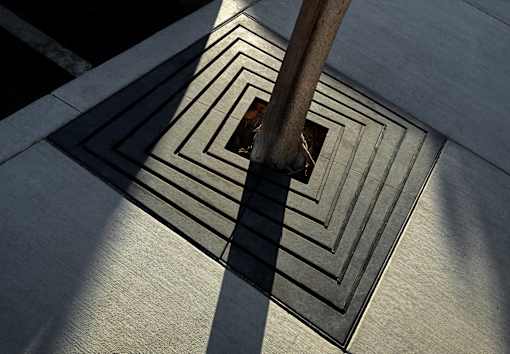 A square-shaped metal grate with a tree trunk in the center.