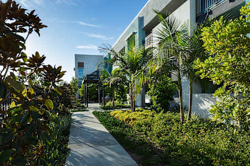 A pathway with green plants on both sides leading to a building.