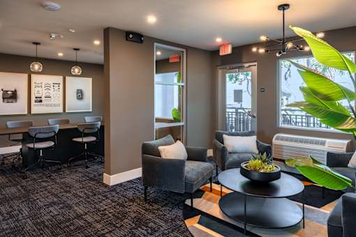 A room with a grey sofa, a black coffee table and a green plant.